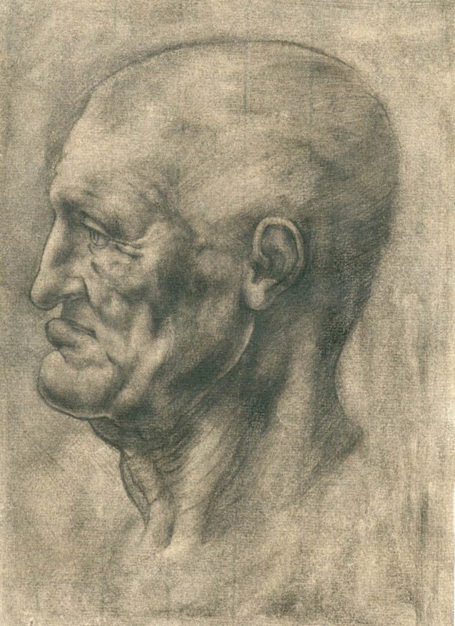 Studie nach Leonardo